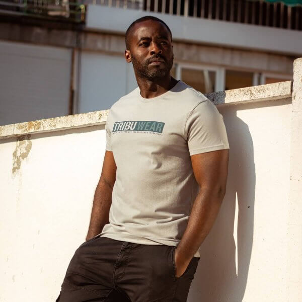 Camiseta Chico Banner Gris